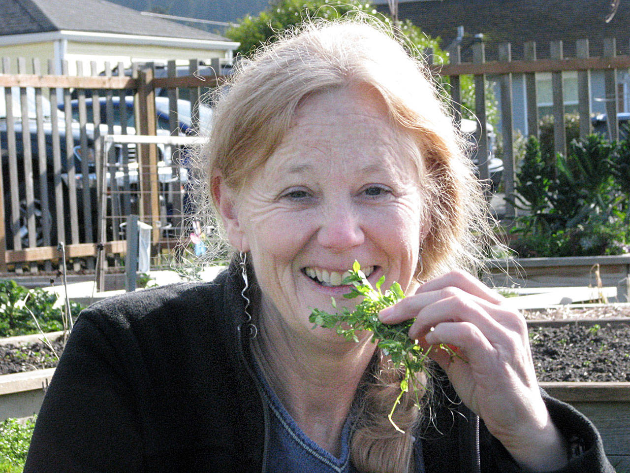 “Weedy Gastronomy – What to Eat, What to Avoid” will be presented by Clallam County Noxious Weed Control Coordinator Cathy Lucero at noon Thursday at the Clallam County Courthouse, 223 E. Fourth St., Port Angeles. (Amanda Rosenberg)