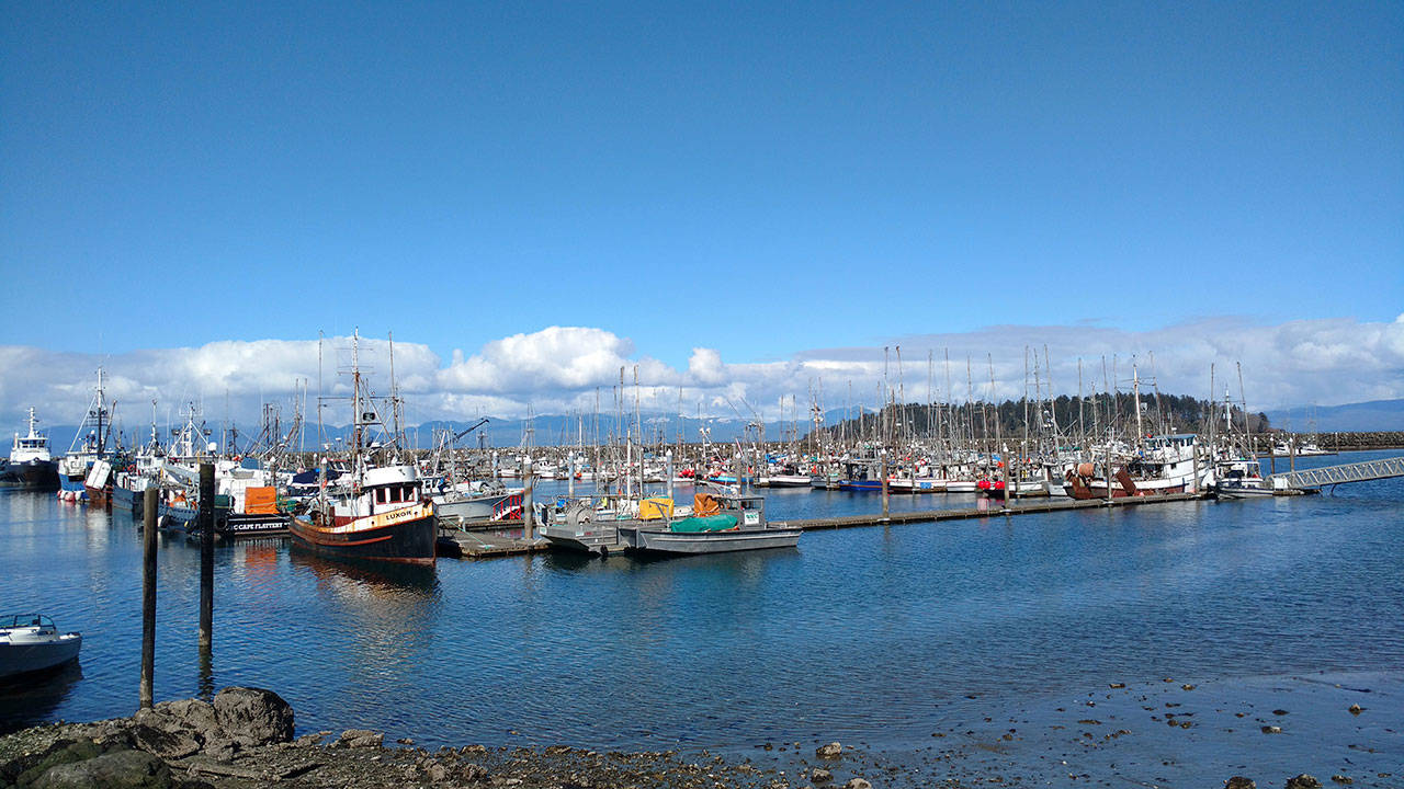 The Makah Marina is shown in Neah Bay with Waadah Island and the mountains of Vancouver Island providing a backdrop. (Zorina Barker/for Peninsula Daily News)