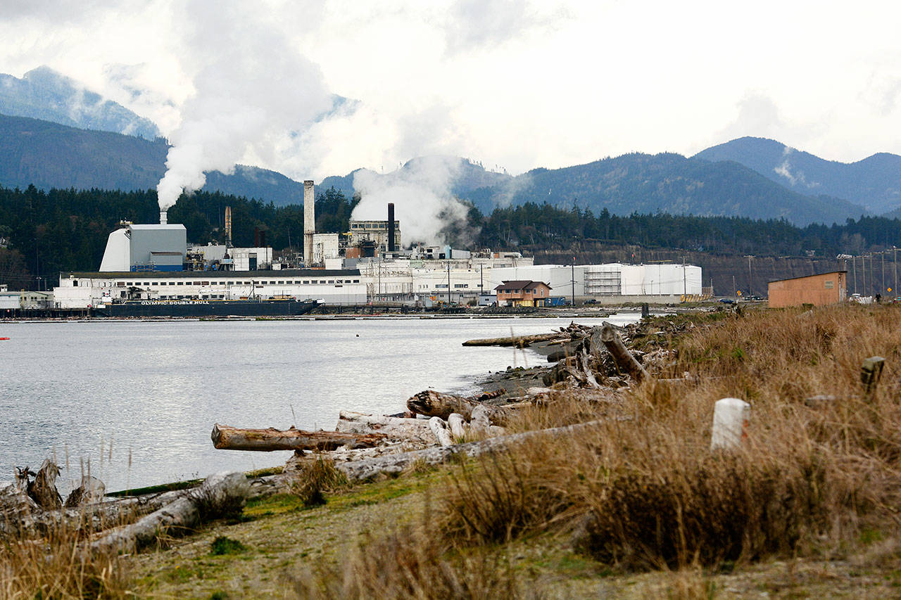 The Western Port Angeles Harbor Group is planning a restoration pilot study that includes placing a 6-inch layer of clean sand on a 4,500-square-foot stretch of shallow subtidal area on the inside of Ediz Hook. (Jesse Major/Peninsula Daily News)​