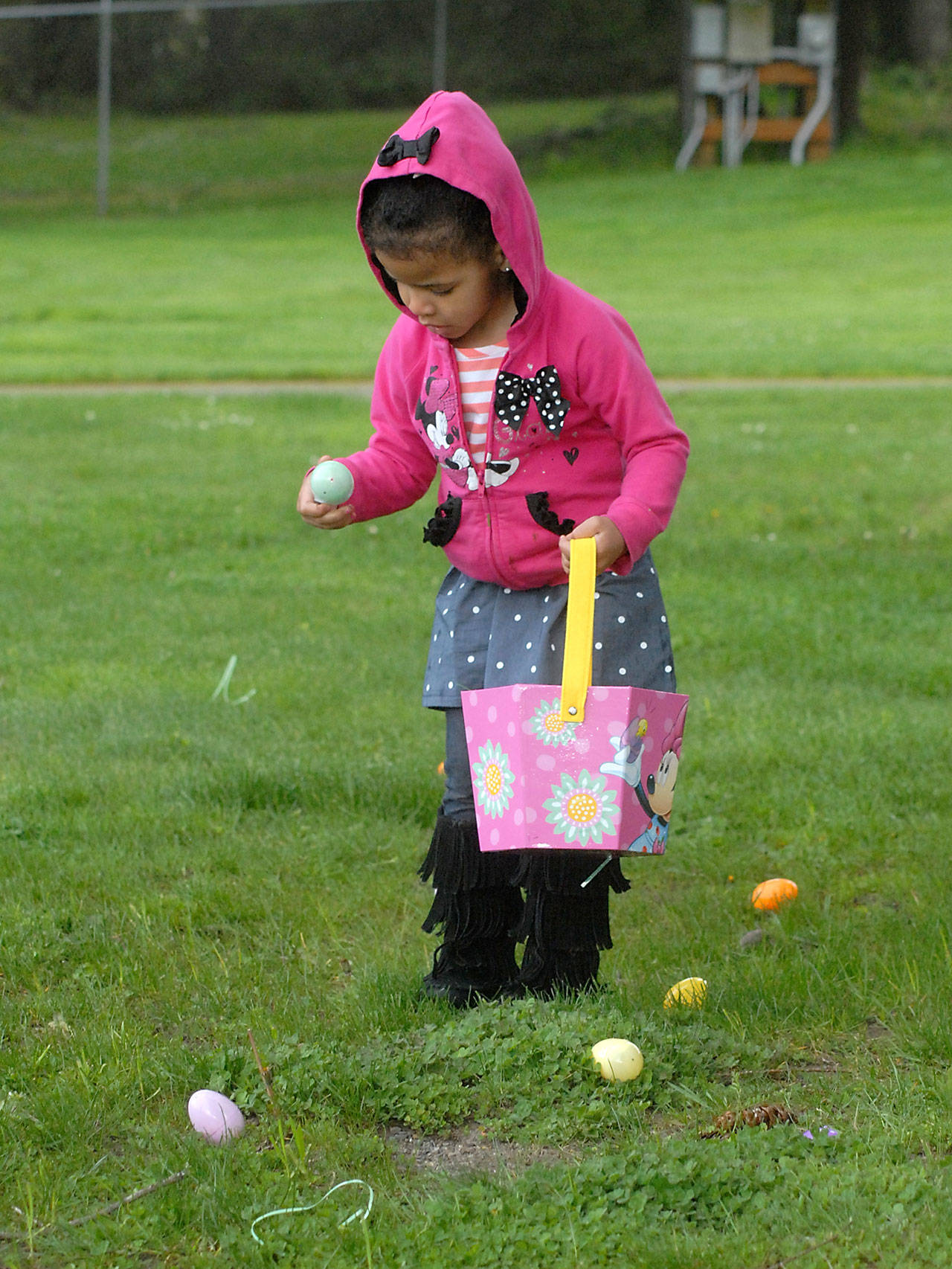 Avacynb Casas, 3, of Port Angeles collects prize-filled eggs at the 39th annual KONP Easter egg hunt at the Clallam County Fairgrounds in Port Angeles on Saturday. (Keith Thorpe/Peninsula Daily News)