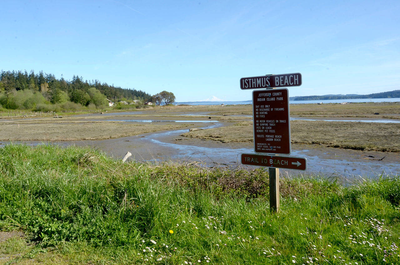 The land bridge connecting Indian Island and Marrowstone Island will be demolished and replaced with a bridge that will allow water to flow in the area between the two islands, which is a route for migrating salmon. (Cydney McFarland/Peninsula Daily News)
