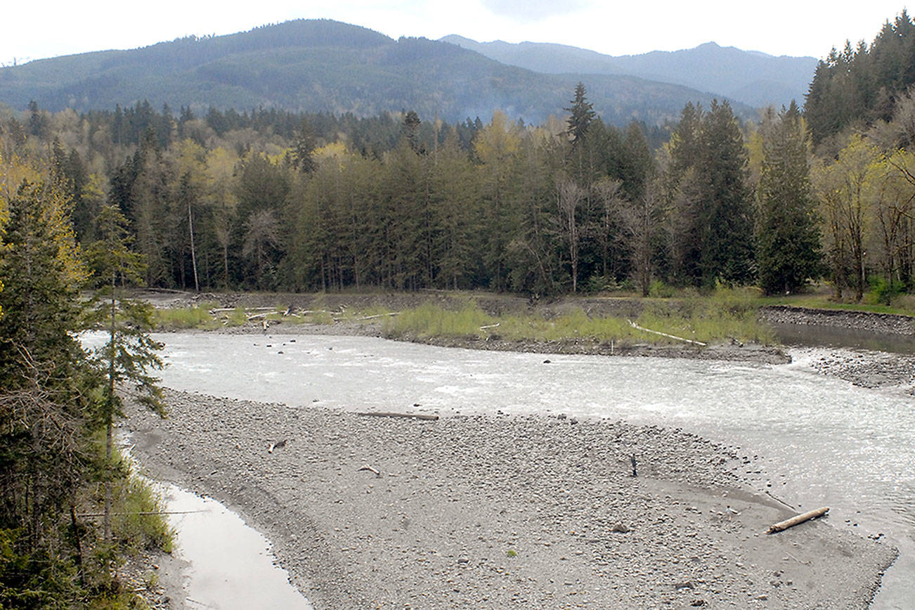 Court of Appeals supports hatchery fish in Elwha River in decision