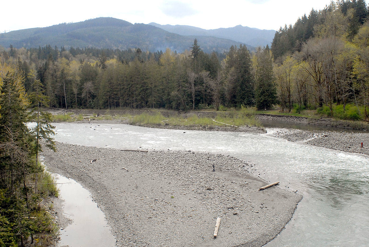 Following a court ruling last week, hatchery salmon can be used to replenish the decimated Elwha River, which is still being coaxed back to life following the removal of dams in 2014. (Keith Thorpe/Peninsula Daily News)