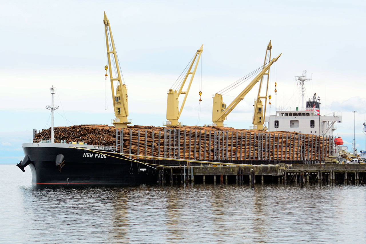 The New Face, a Panamanian cargo ship, carries logs in Port Angeles destined for export. Port of Port Angeles officials are concerned a proposed 20 percent tariff on Canadian soft lumber imports could affect local timber exports. (Jesse Major/Peninsula Daily News)