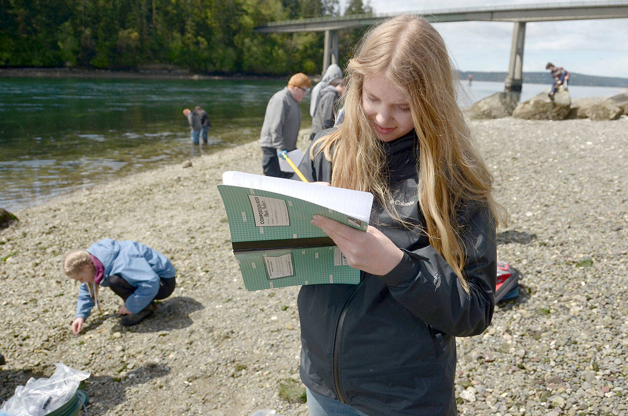 Blue Heron eighth-grader Olivia Mattern documents the finding of her group’s phosphate test on the waters running along the south side of Indian Island. (Cydney McFarland/Peninsula Daily News)