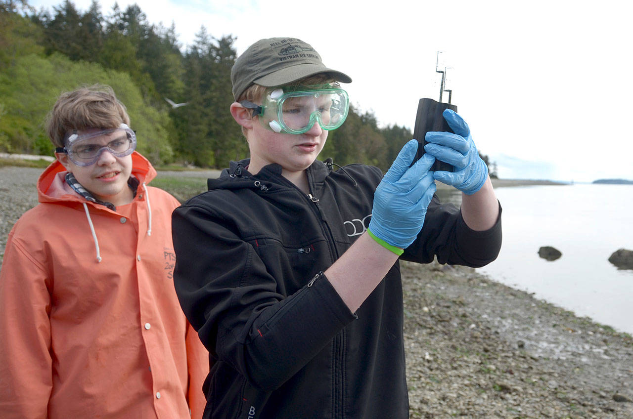 Blue Heron eighth-graders Andru Goodlin, left, and Odin Smith study water samples they collected from the south side of Indian Island. (Cydney McFarland/Peninsula Daily News)
