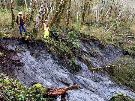 State geologist Dave Norman, right, and geotechnical engineer Gabe Taylor inspect the head scarp of a landslide slide on state Highway 530 near the town of Oso last Saturday. (State Department of Natural Resources via AP)