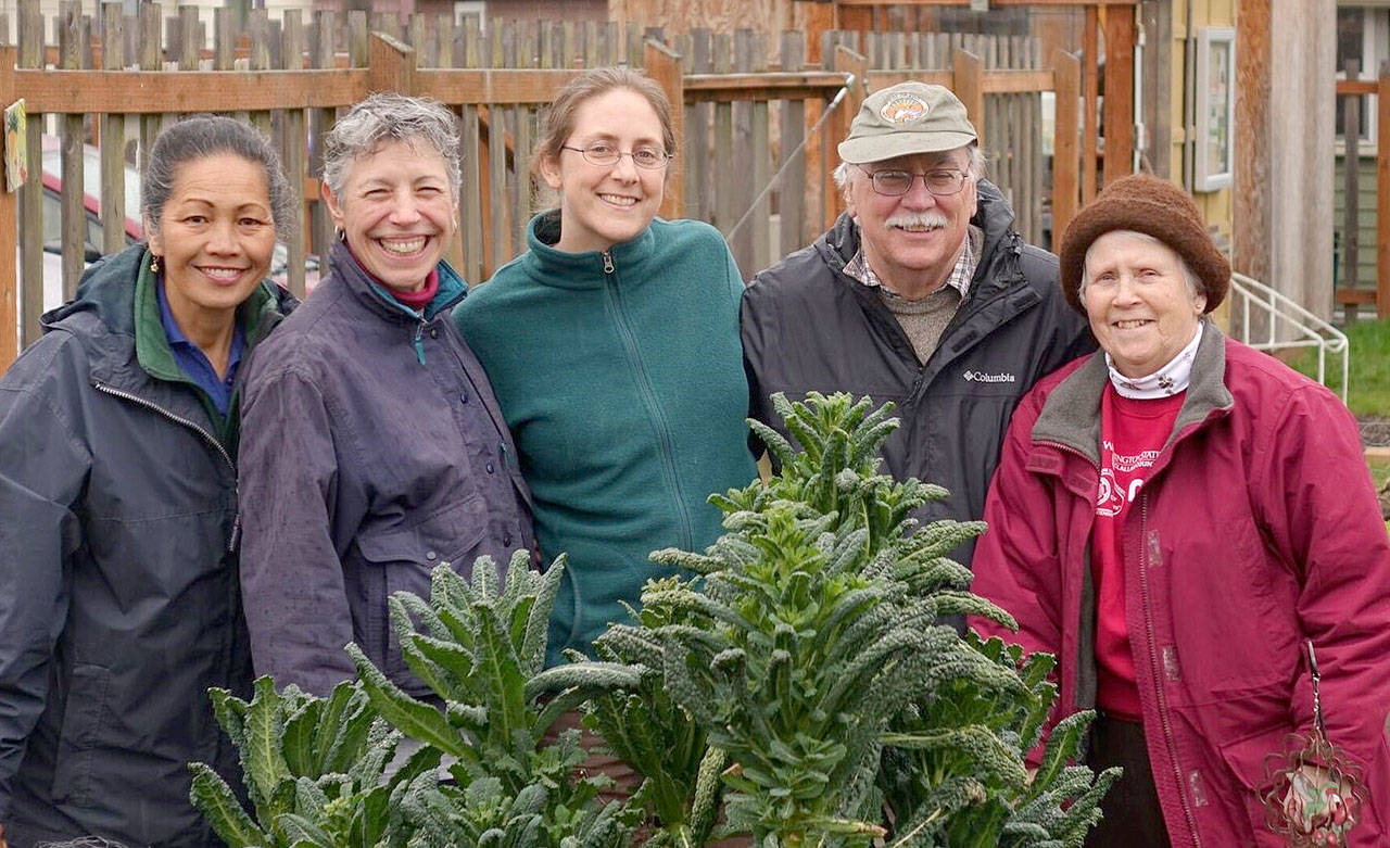 Lunch in the Garden veteran Master Gardeners Audreen Williams, Jeanette Stehr-Green, Laurel Moulton, Bob Cain and Lois Bellamy will lead a walk through the Fifth Street Community Garden, 328 E. Fifth St., Port Angeles, at 10 a.m. Saturday, April 8.