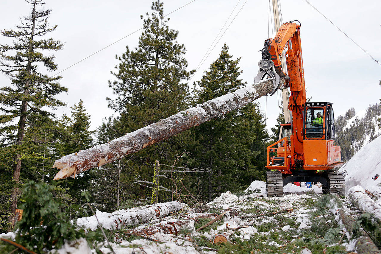 A log yarder moves a log into position above a slope where a crew in February was thinning a 100-acre patch on private land owned by the Nature Conservancy overlooking Cle Elum Lake, in Cle Elum. (Elaine Thompson/The Associated Press)