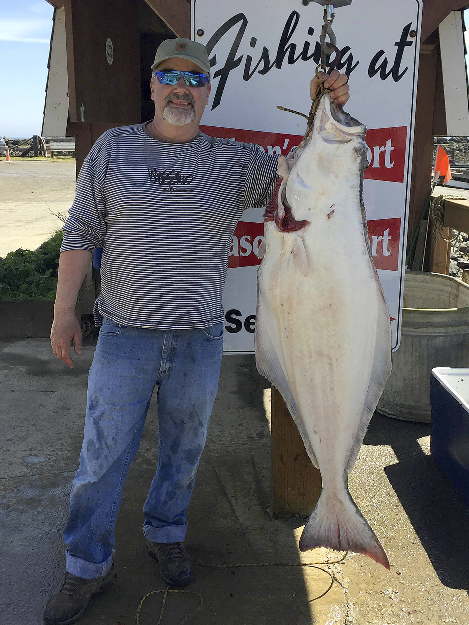 Mason’s Olson Resort                                Bonney Lake’s Tom Mazetis hauled in this 52-pound halibut fishing out of Sekiu on opening day Thursday.
