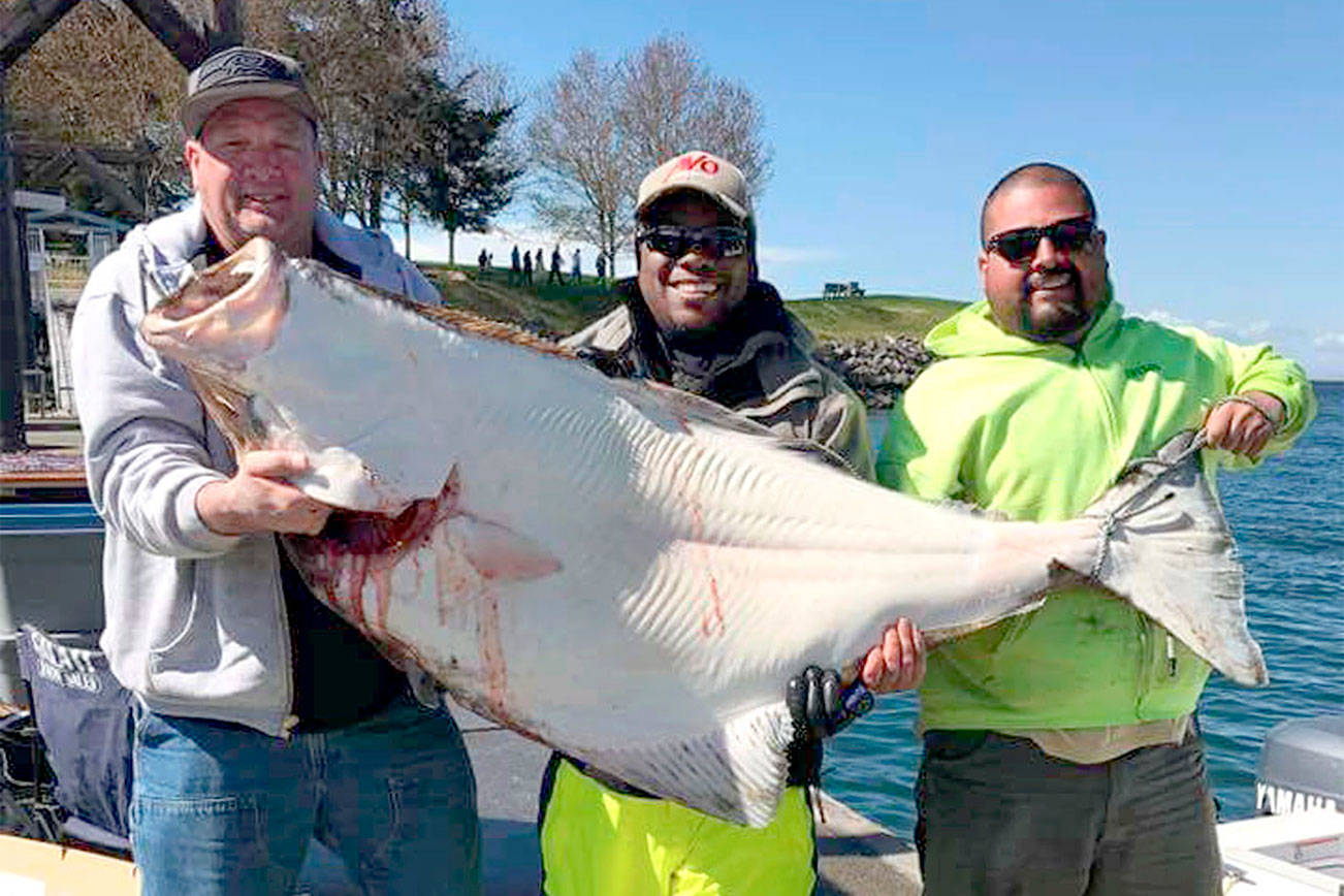 OUTDOORS: Halibut anglers haul in 115-pounder