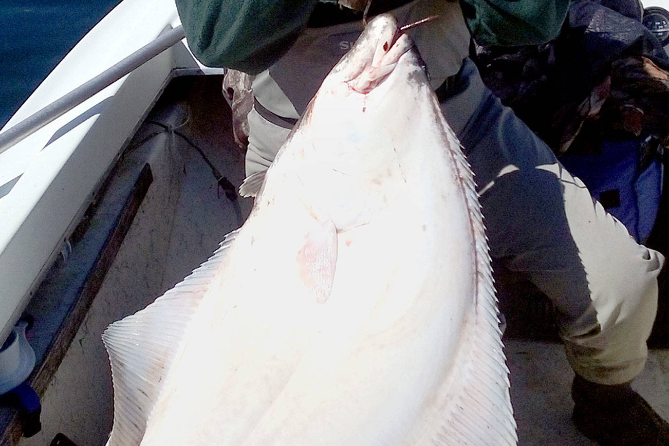 OUTDOORS: Halibut anglers hope for extra days on the water