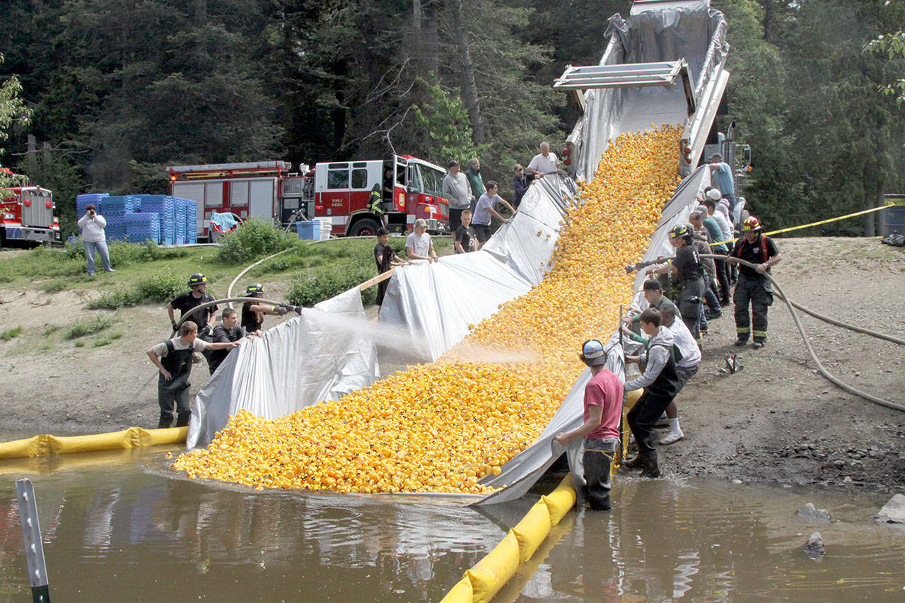 Nearly 30,000 little yellow ducks slide down the chute into the Lincoln Park pond last year in a race to see which one will earn a lucky duck purchaser a new truck. (Dave Logan/for Peninsula Daily News)