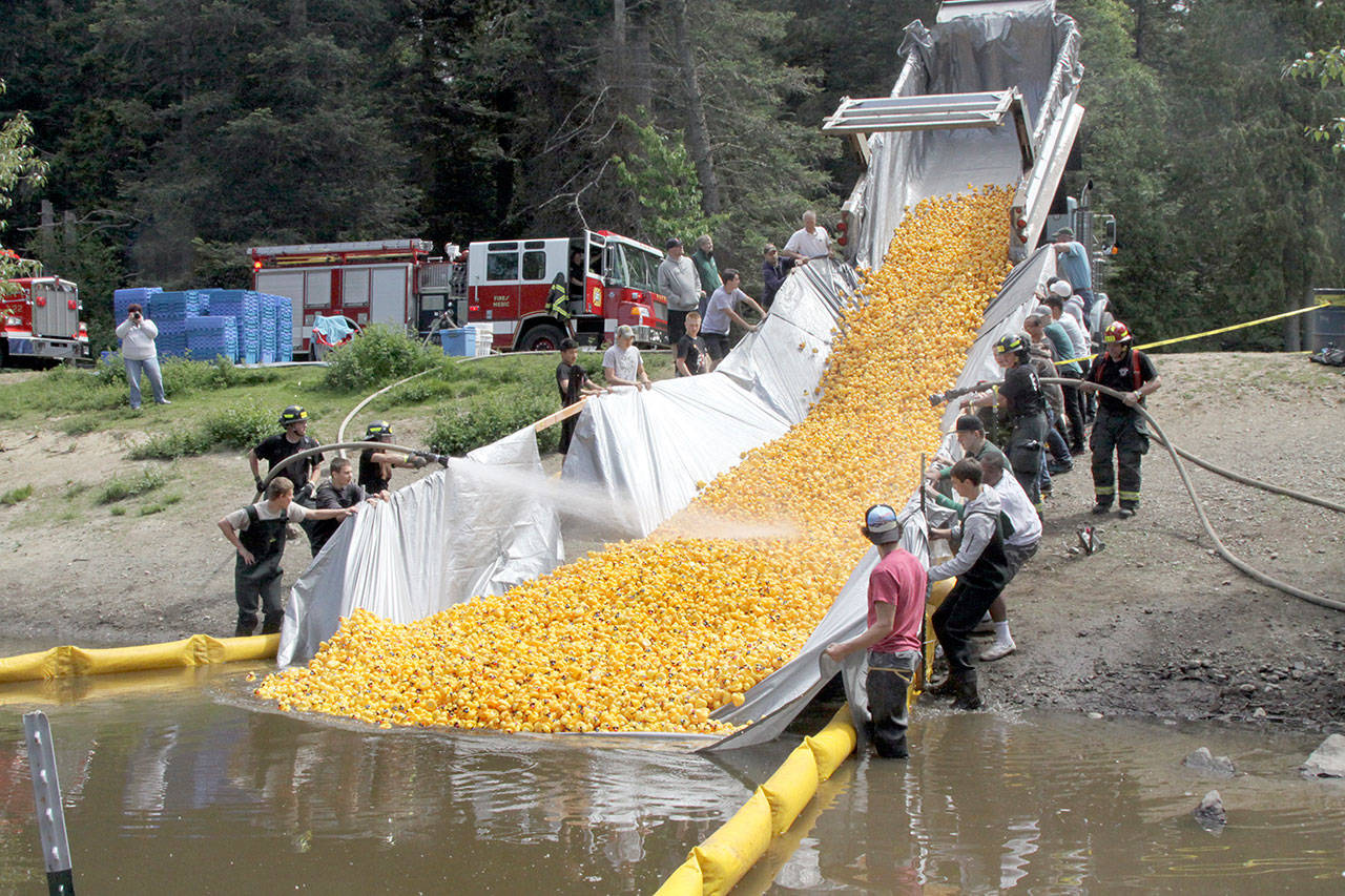 Nearly 30,000 little yellow ducks slide down the chute into the Lincoln Park pond last year in a race to see which one will earn a lucky duck purchaser a new truck. (Dave Logan/for Peninsula Daily News)