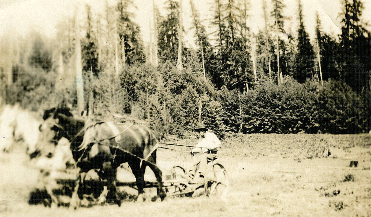 Sam Clements is seen plowing a field in an unkown year. (Jefferson County Historical Society)