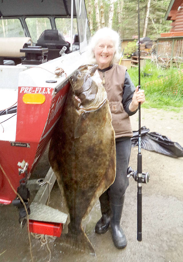 Sue Grisaitis                                Joyce’s Karen Kitchens, age 75, caught this 70-pound halibut while fishing off Ediz Hook last Sunday. It’s the biggest fish Kitchen’s has ever caught.
