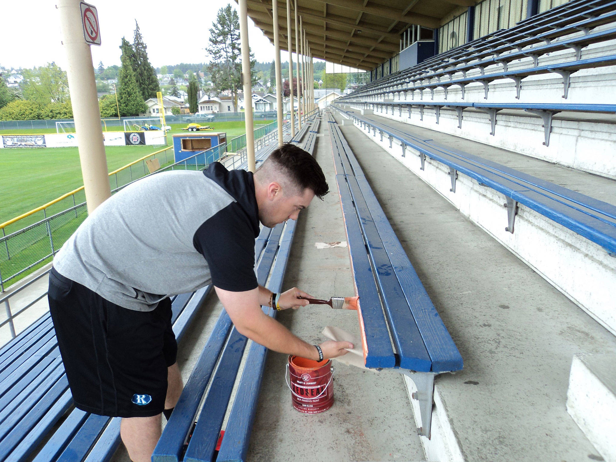 Pierre LaBossiere/Peninsula Daily News                                Lefties first baseman Joey Galeno was one of several players working hard on sprucing up Civic Field this week in preparation for the Lefties’ opener today. Here, Galeno, from Pacific University in Forest Grove, Ore., is painting bleachers, while other players were painting the locker room in Lefties’ orange and blue.