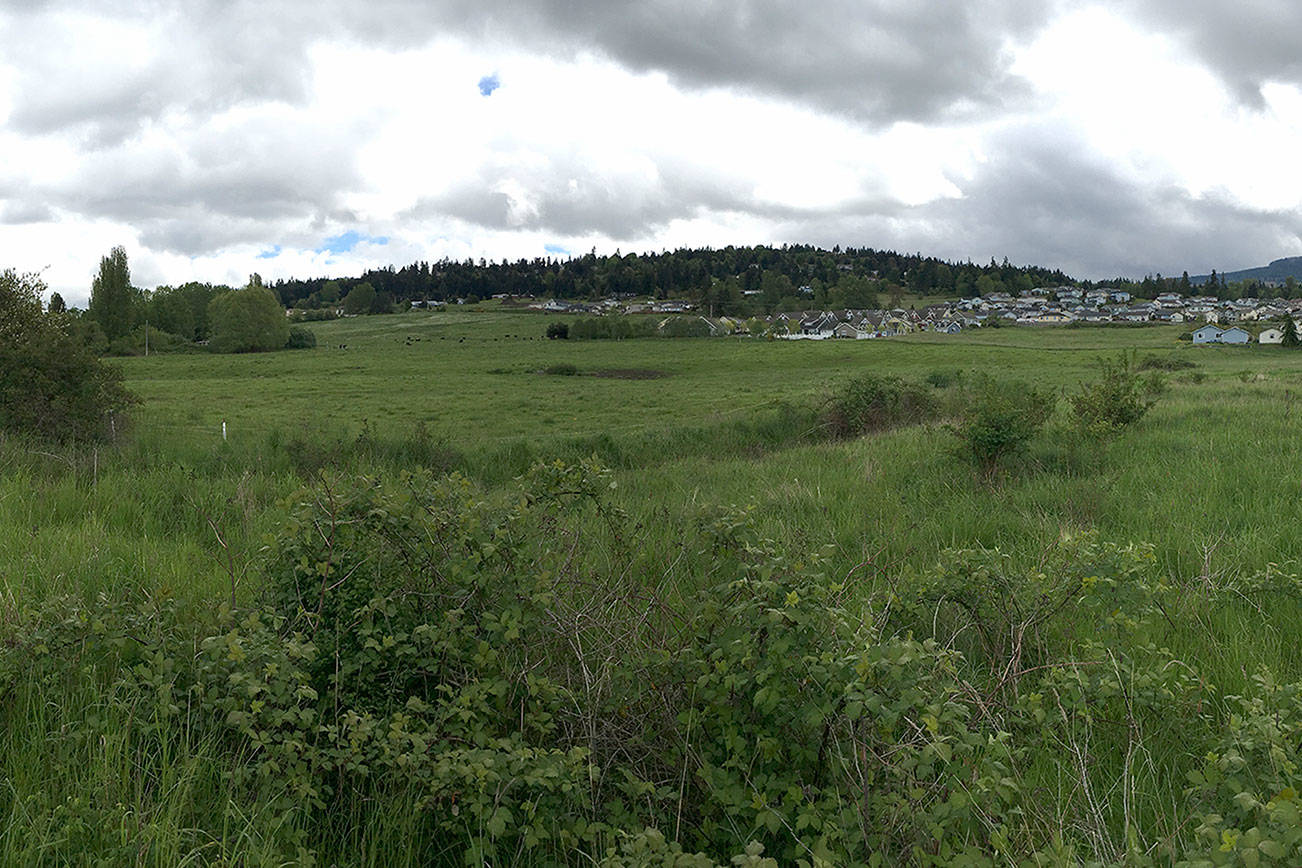 Developer looks to bring 103 homes to Sequim subdivision