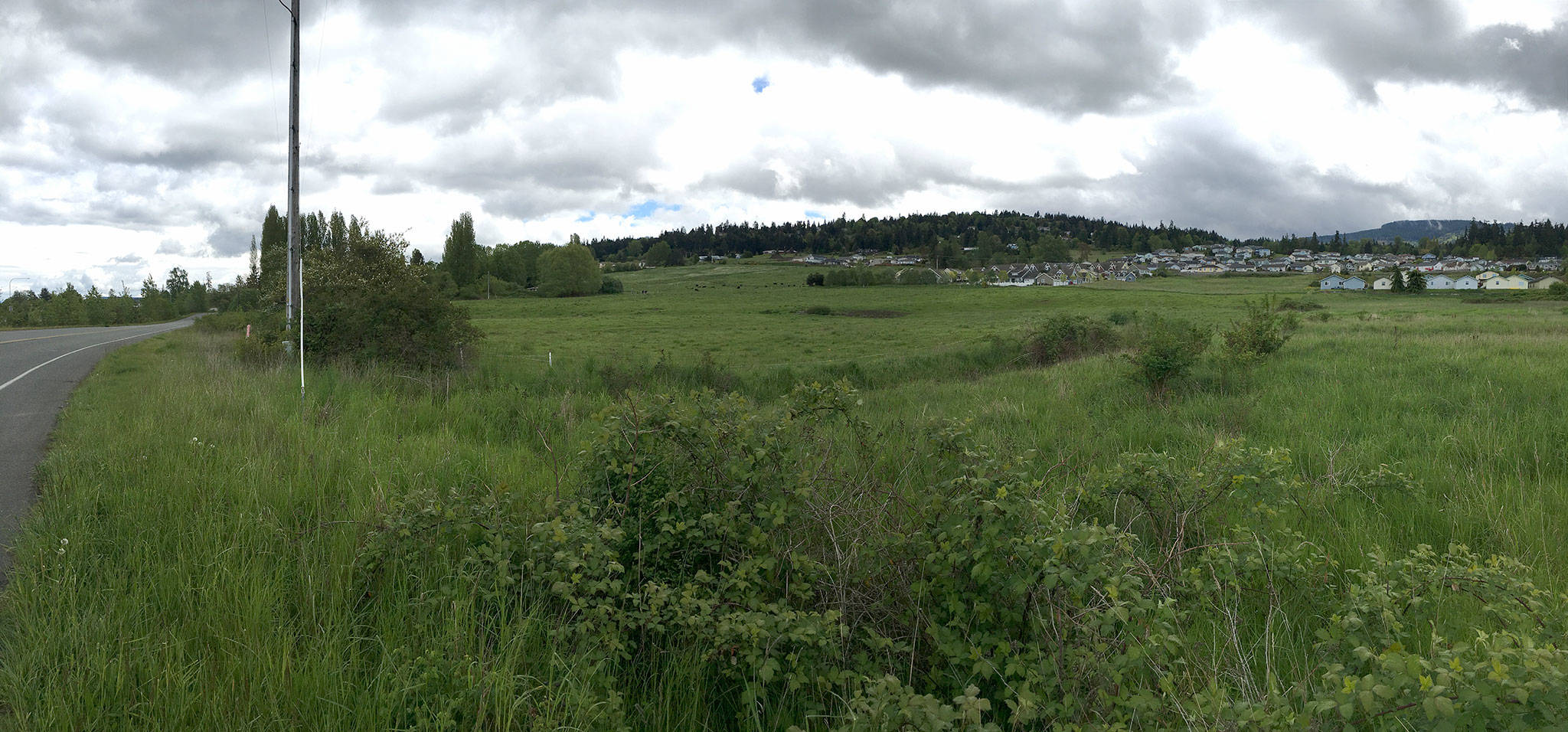 Bell Estates, a 103-home subdivision, would be built off Brownfield Road below Miller Road and Bell Hill within the city of Sequim’s limits. (Matthew Nash/Olympic Peninsula News Group)