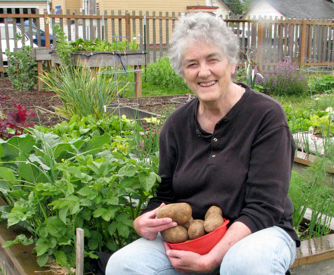 Master Gardener Muriel Nesbitt will discuss growing potatoes from seed on Thursday. (Amanda Rosenberg)