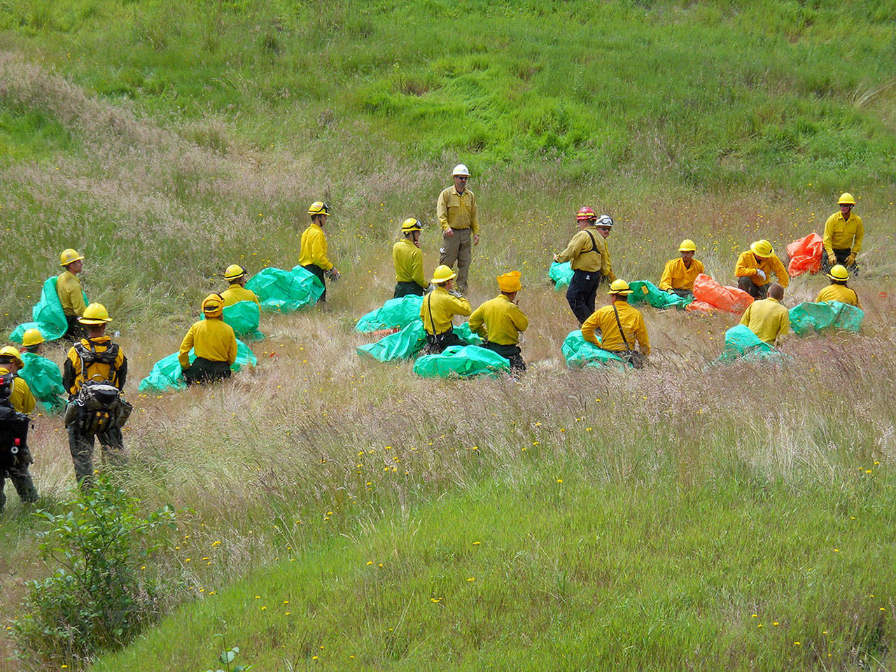 Firefighters practice shelter deployment during a wildland firefighting exercise in Port Ludlow last Saturday. (Port Ludlow Fire & Rescue)