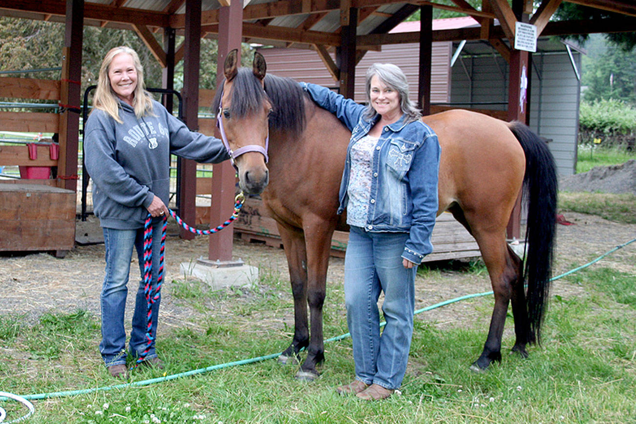 HORSEPLAY: Opportunity to support Olympic Peninsula Equine Network is coming
