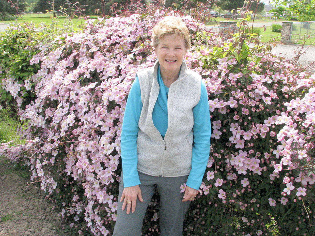 Master Gardener Elaine Webber will provide tips for drought-resistant gardens at upcoming talks in Port Angeles and Sequim. (Amanda Rosenberg)