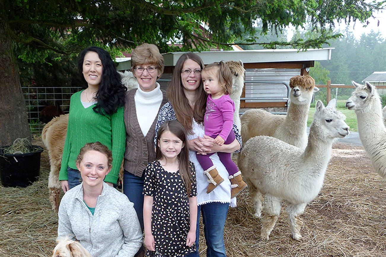 Dyefeltorspin festival celebrates fiber; alpaca shearing set for Sunday