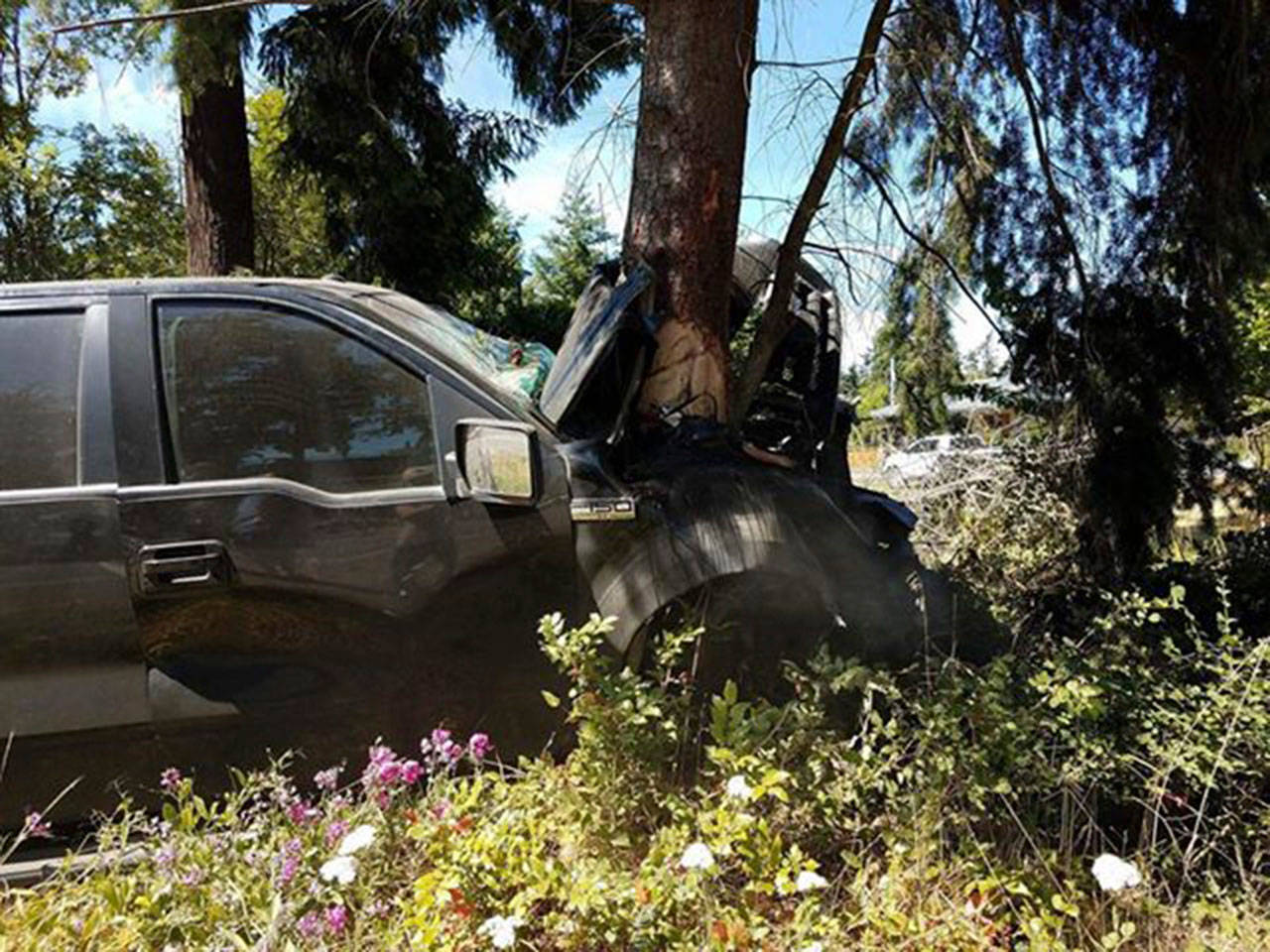 A man was sent to the hospital Saturday after this truck swerved off Old Olympic Highway and hit a tree. (Ennis Caynor)