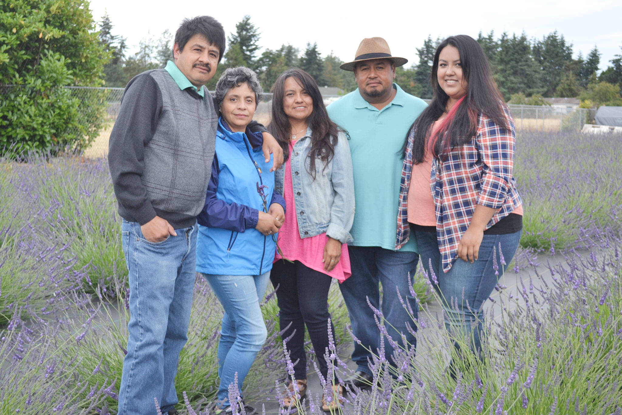 Victor and Maribel Gonzalez, left, partnered with Sergio Gonzalez, fourth from left, and his wife Monica and daughter Melissa to start Meli’s Lavender Farm off Old Olympic Highway. With Victor’s lavender plants and Sergio’s property, they plan to sell the lavender to support Melissa’s college education at Western Washington University. (Matthew Nash/Olympic Peninsula News Group)