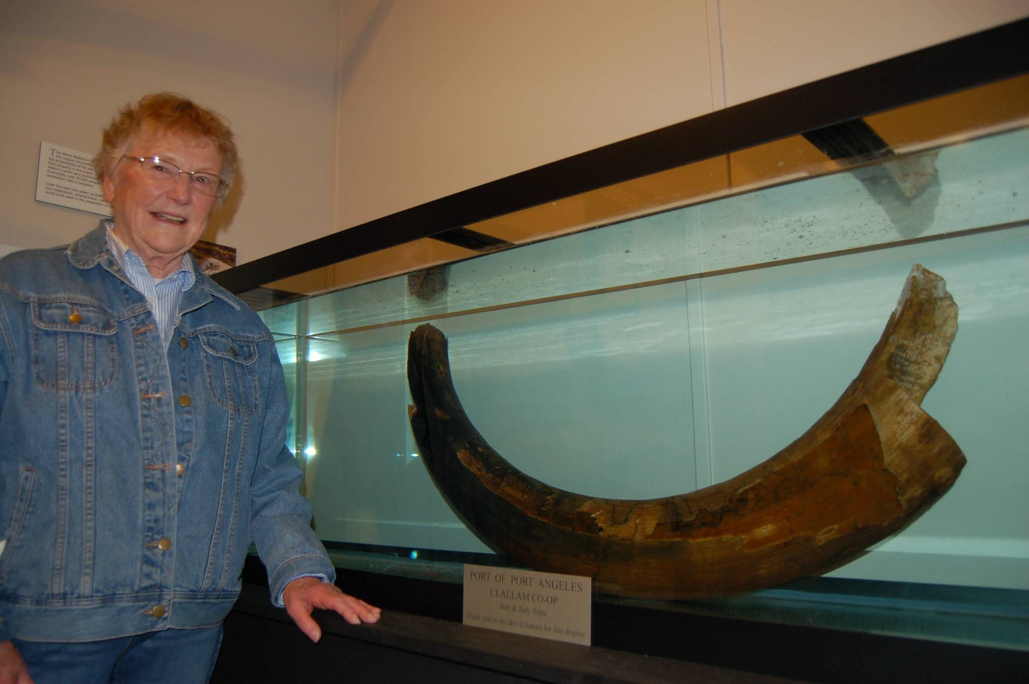 Erin Hawkins/Olympic Peninsula News Group                                Clare Manis stands next to one of the mastodon tusks her late husband, “Manny,” found in 1977 while digging a pond with his backhoe at their home in Happy Valley.