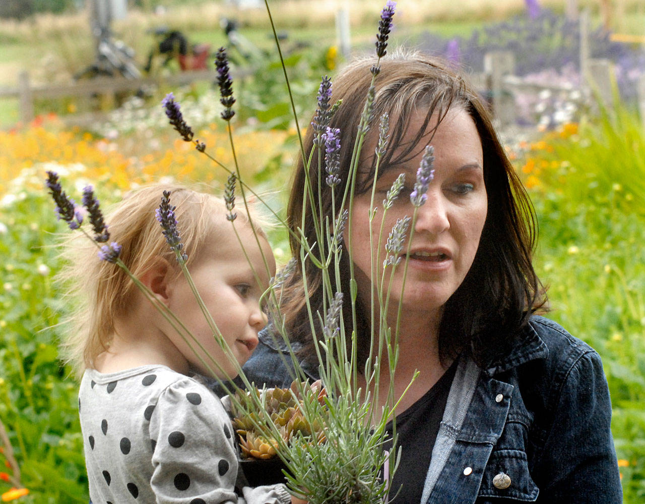 Rebecca Archuleta of Yakima holds her niece, Lilly Ballamis, 2, of Port Angeles, and a lavender plant for purchase Friday at Fat Cat Garden & Gifts in Sequim. (Keith Thorpe/Peninsula Daily News)