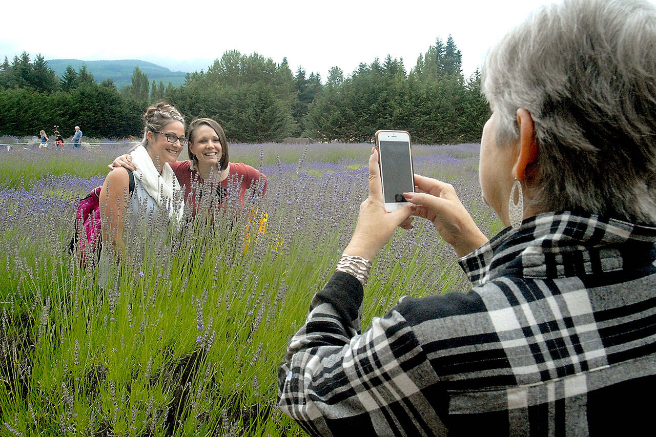 Melissa Thometz of Boise, Idaho, left, and Rachel Winter of Sequim pose as Linda Sorensen of Anacortes, right, takes their photo in a field of lavender at Lost Mountain Lavender in Sequim on Friday. (Keith Thorpe/Peninsula Daily News)