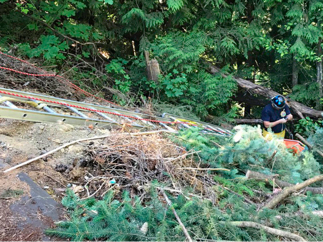 A woman was rescued Tuesday after falling 30 feet down an embankment off Deer Park Road. (Clallam Fire District No. 2)