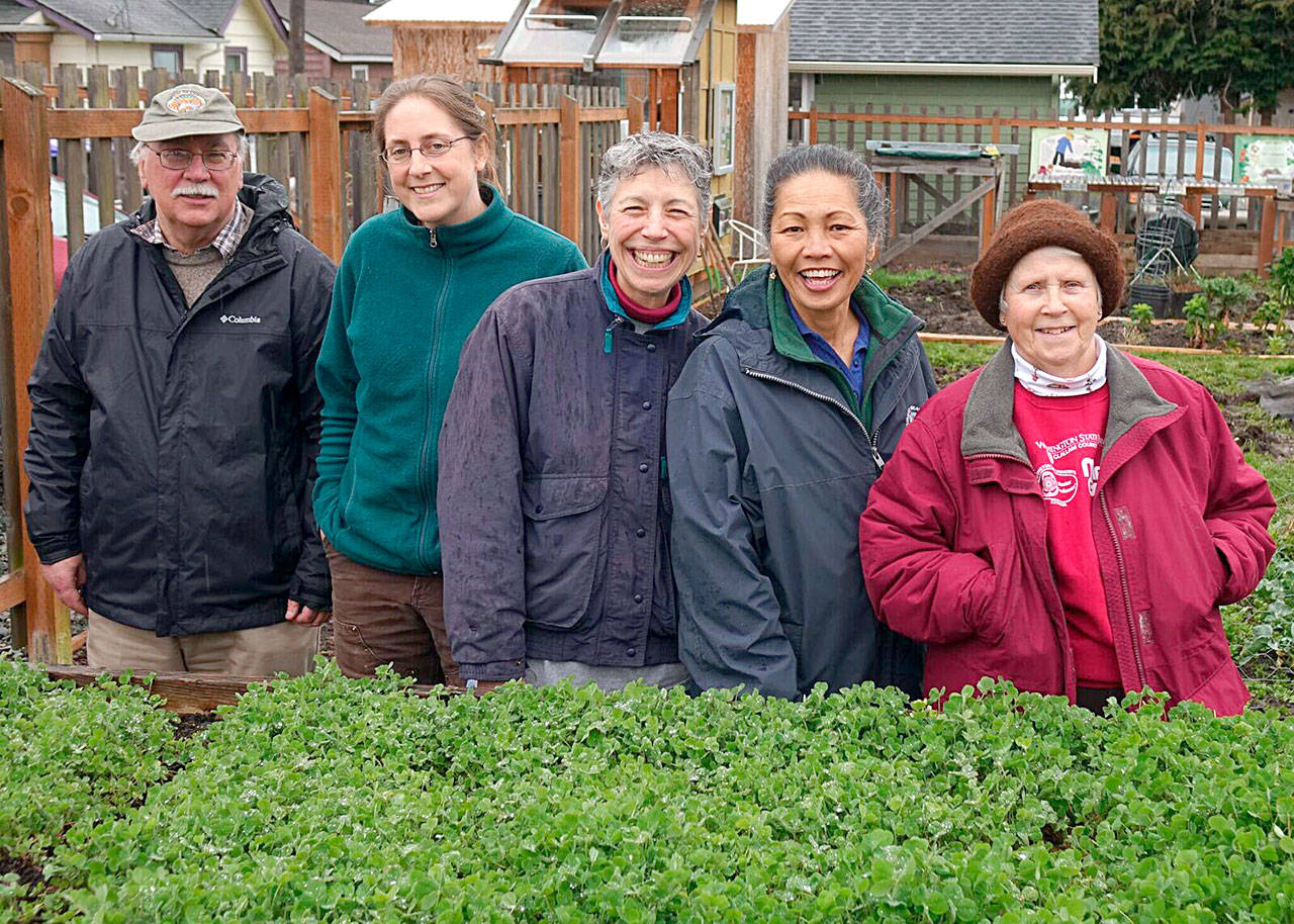 Veteran Master Gardeners, Bob Cain, Laurel Moulton, Jeanette Stehr-Green, Audreen Williams and Lois Bellamy, from left, will lead a walk through the Fifth Street Community Garden on Saturday.