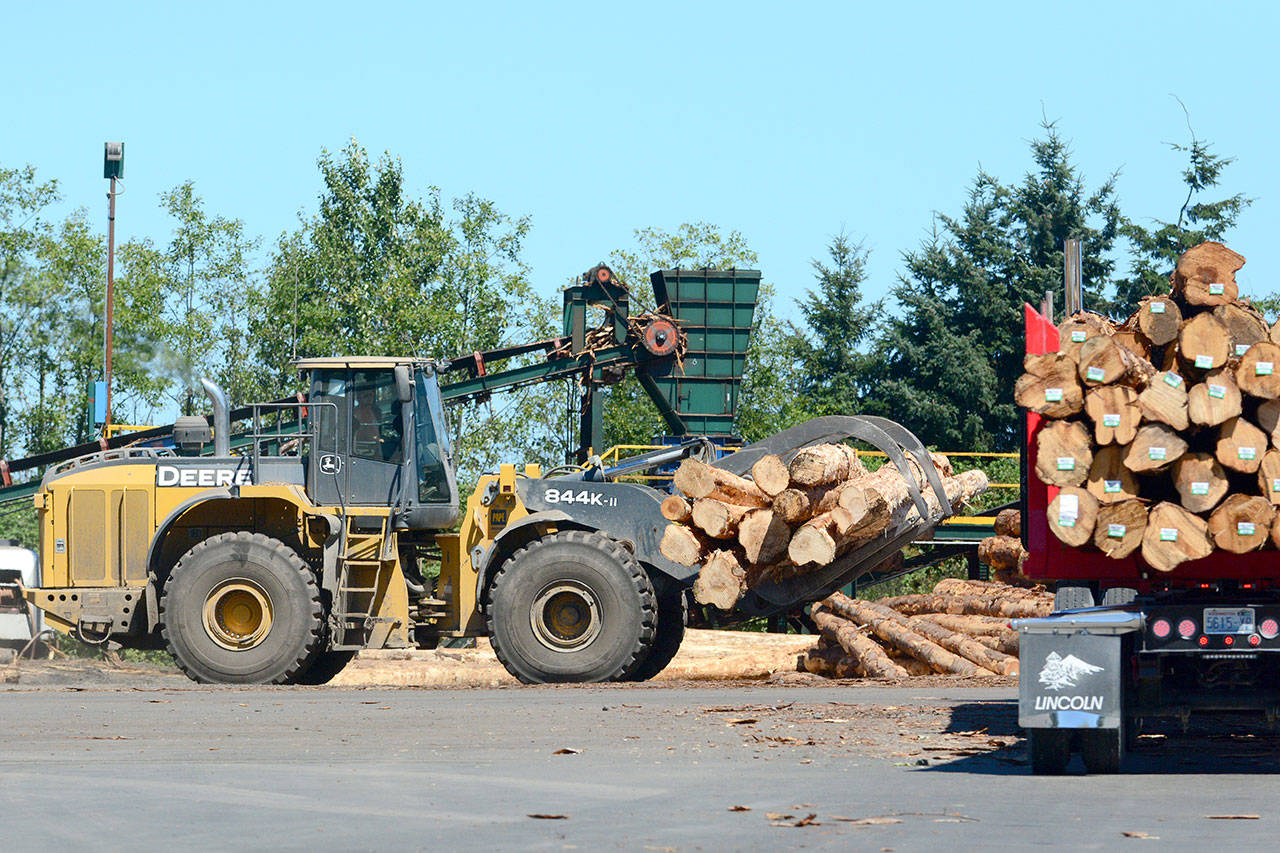 The Port of Port Angeles is taking steps it hopes will bring an advanced wood product company to the Port Angeles area. (Jesse Major/Peninsula Daily News)