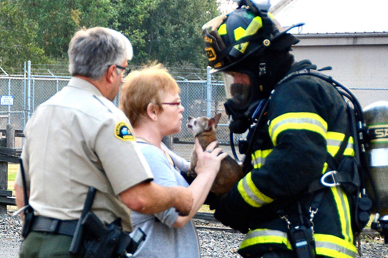 Firefighters save dog from Port Angeles fire; two others overcome by smoke