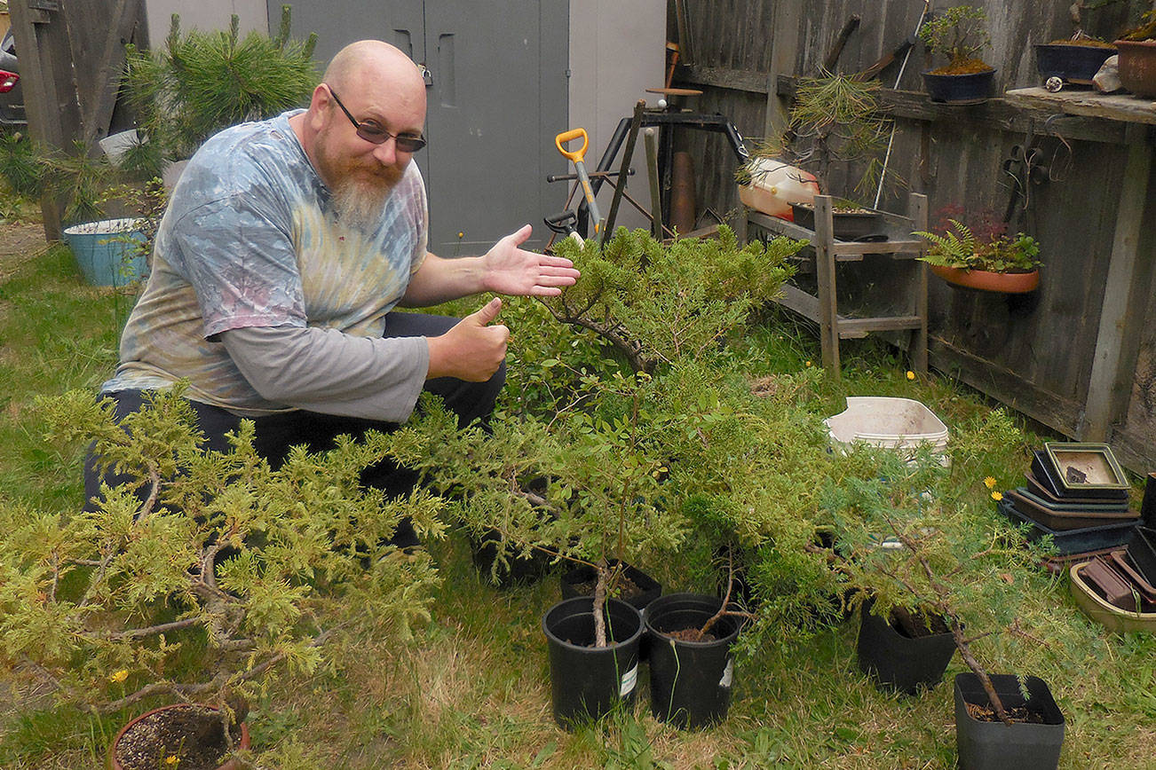 Dungeness Bonsai club helps Tacoma teens after vandalism