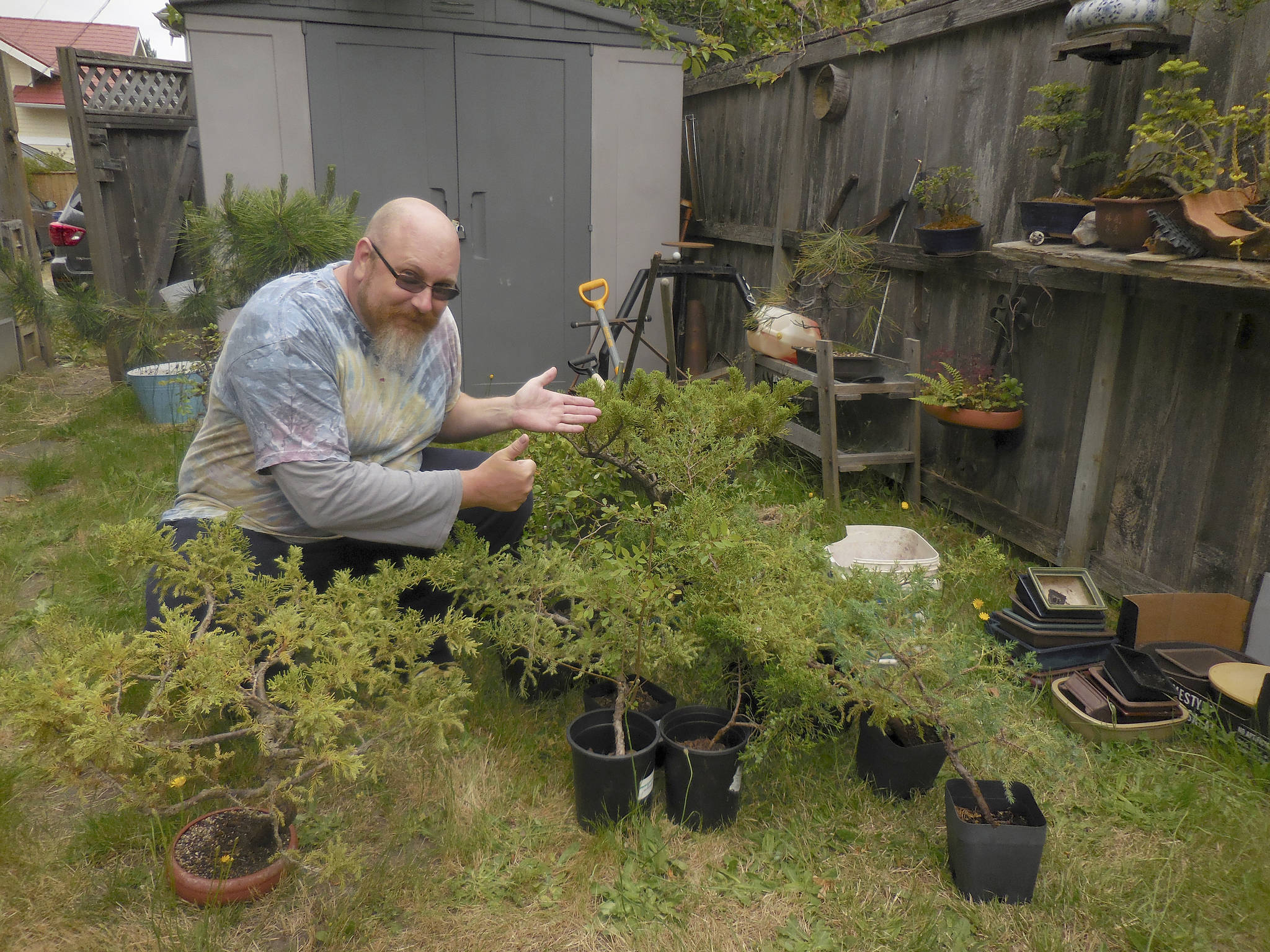 Marty Brown, a science teacher and leader of Gray Middle School’s Bonsai Club in Tacoma, kneels with recent bonsai donations from the Dungeness Bonsai Society in the Sequim area. The school’s greenhouse was vandalized twice in May, leading individuals bonsai clubs across the country to help the teens out with new trees, pots and more than $5,000 in donations. (Ron Quigley)