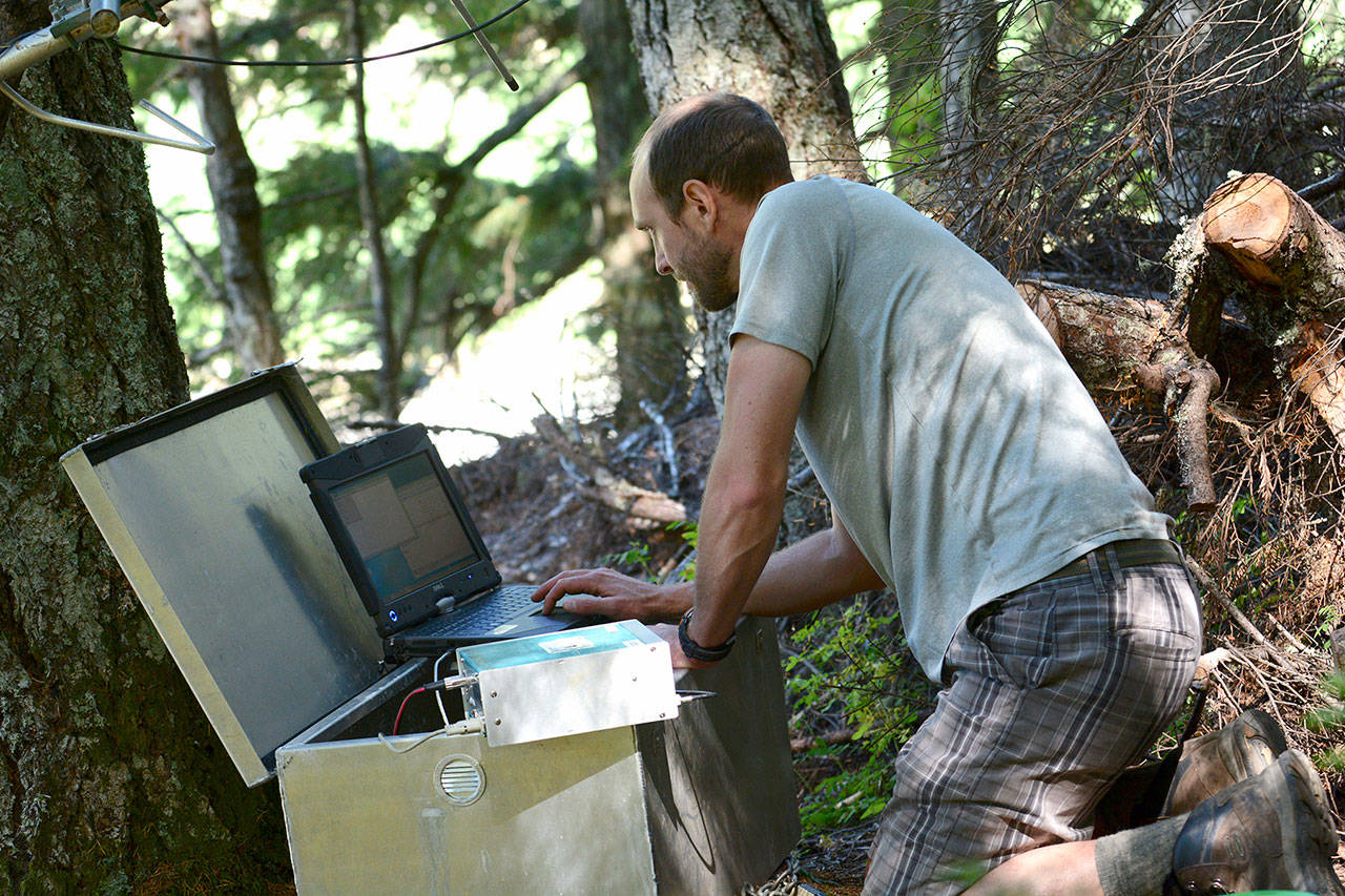 Olympic National Park fisheries technician Josh Geffre downloads fish tracking data from one of several fixed sites on the Elwha River on July 31. (Jesse Major/Peninsula Daily News)