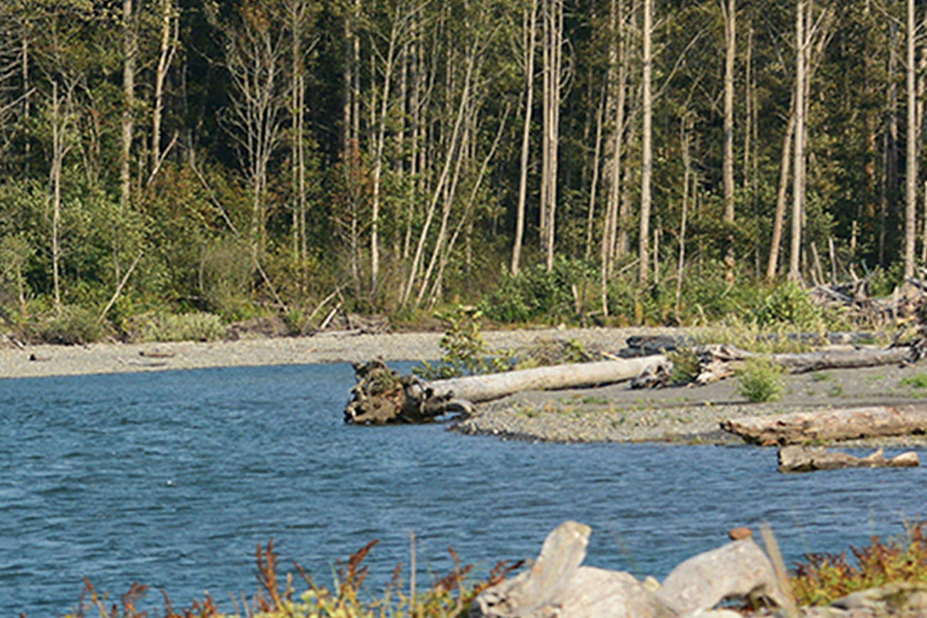 Coastal Watershed Institute seeking funding for Elwha River mouth project