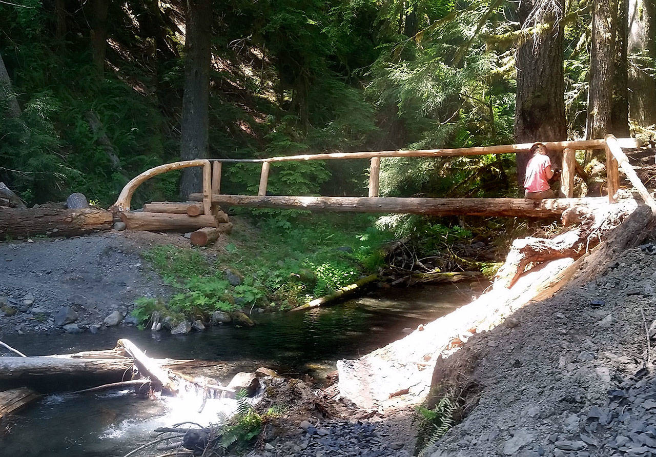 Olympic National Park has constructed a foot log in place of the Crystal Creek Bridge on Boulder Creek Trail. The trail is now open. (D. Myers)