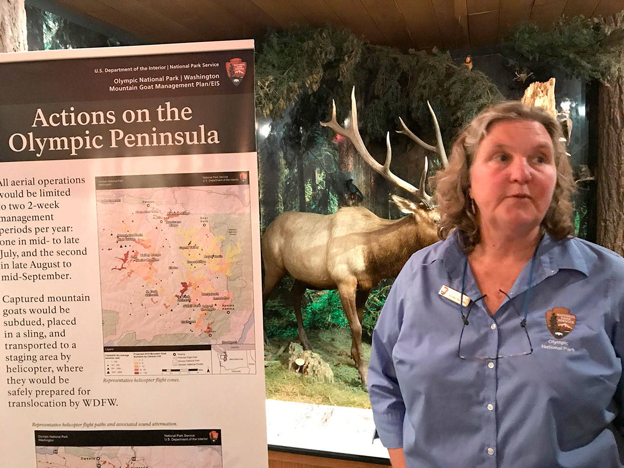 Patti Happe, an Olympic National Park wildlife biologist, explains aspects of a recently released mountain goat management plan Tuesday at an open house at the park visitor center. (Paul Gottlieb/Peninsula Daily News)