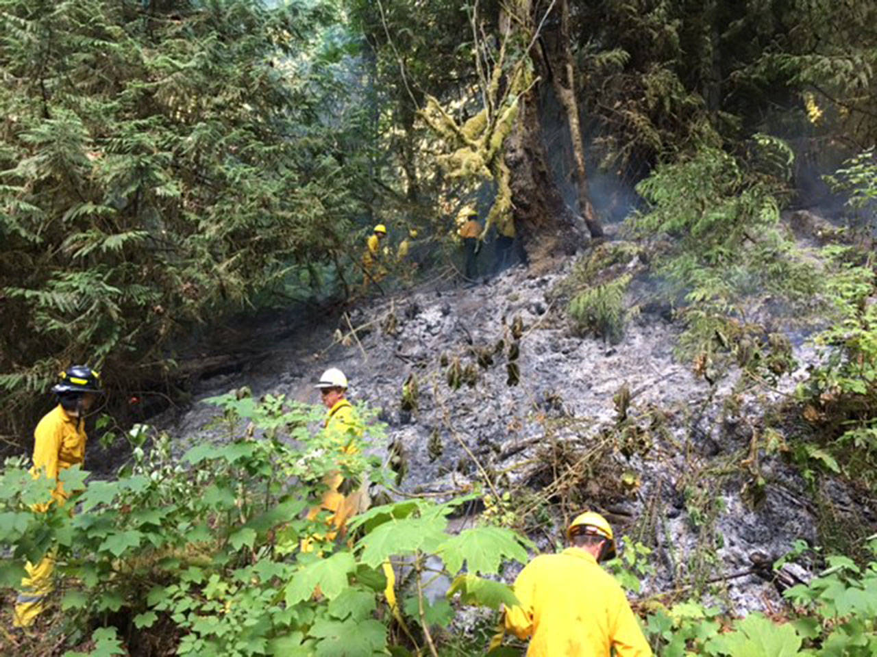 Clallam County Fire District No. 2 firefighters fight a brush fire Monday. (Clallam County Fire District No. 2)