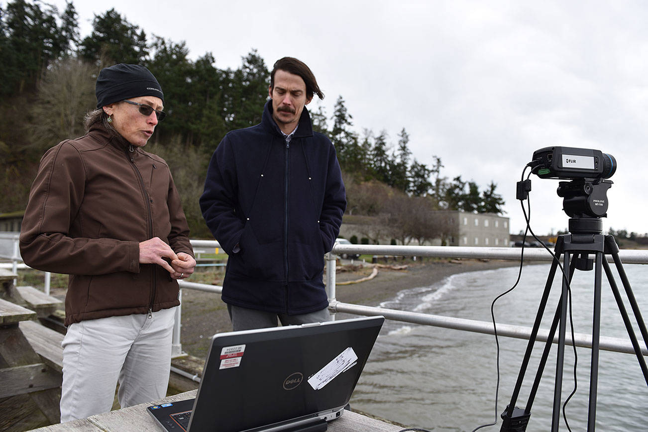 Sequim lab using thermal imaging in aid of bird-friendly wind power