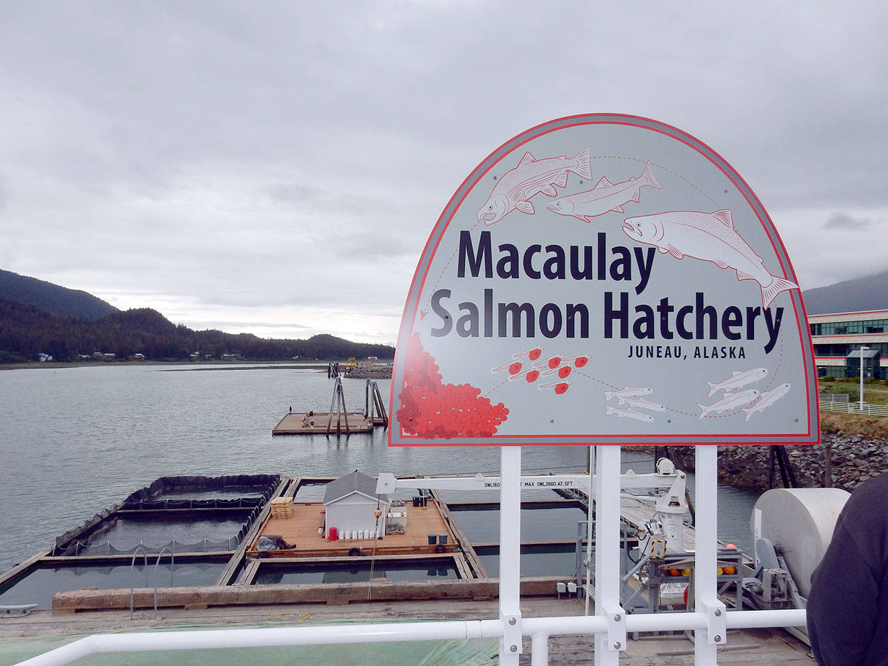 The Ladd Macaulay Salmon Hatchery in Juneau, Alaska. (Pat Neal/for Peninsula Daily News)