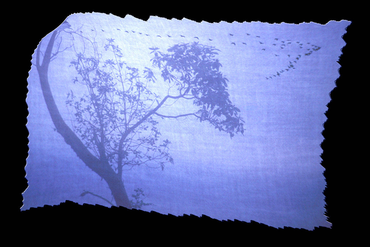 &ldquo;Fly by Night&rdquo; by Jan Kepley will be on display at Pacific Pantry.