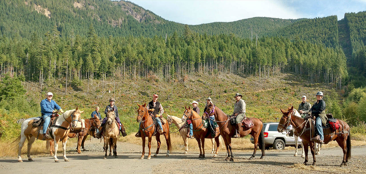 Shown are the Trail Warriors of the Mount Olympus chapter of Back Country Horsemen of Washington. From left, Greg Anderson on his pinto Haley-Bop, Fivey the mule held by Larry Baysinger mounted on his mustang Scout, Sherry Baysinger on her fox trotter Miss Montana, Mike Perry on his chestnut Archbishop Murphy, Jeff Doane on his semi-retired show-horse Alex, Rochelle Southerland on her chestnut Robin, Ray Southerland on his bay Roman, Chuck Court on his rescued pinto Tommy and Penny Doane on Henry the mule. (Zorina Barker/for Peninsula Daily News)