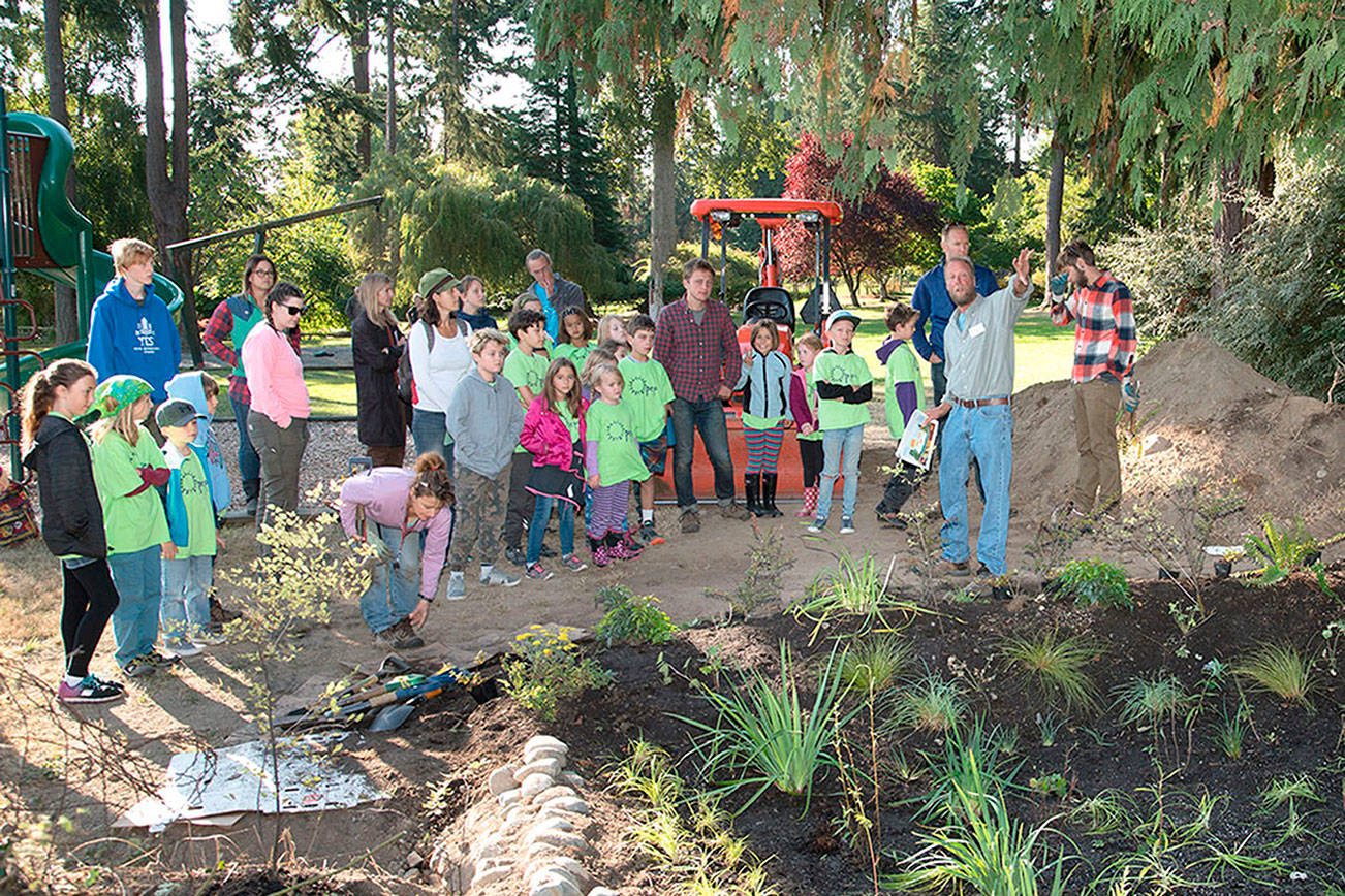 Chetzemoka Park rain garden aims to keep pollutants out of Port Townsend Bay