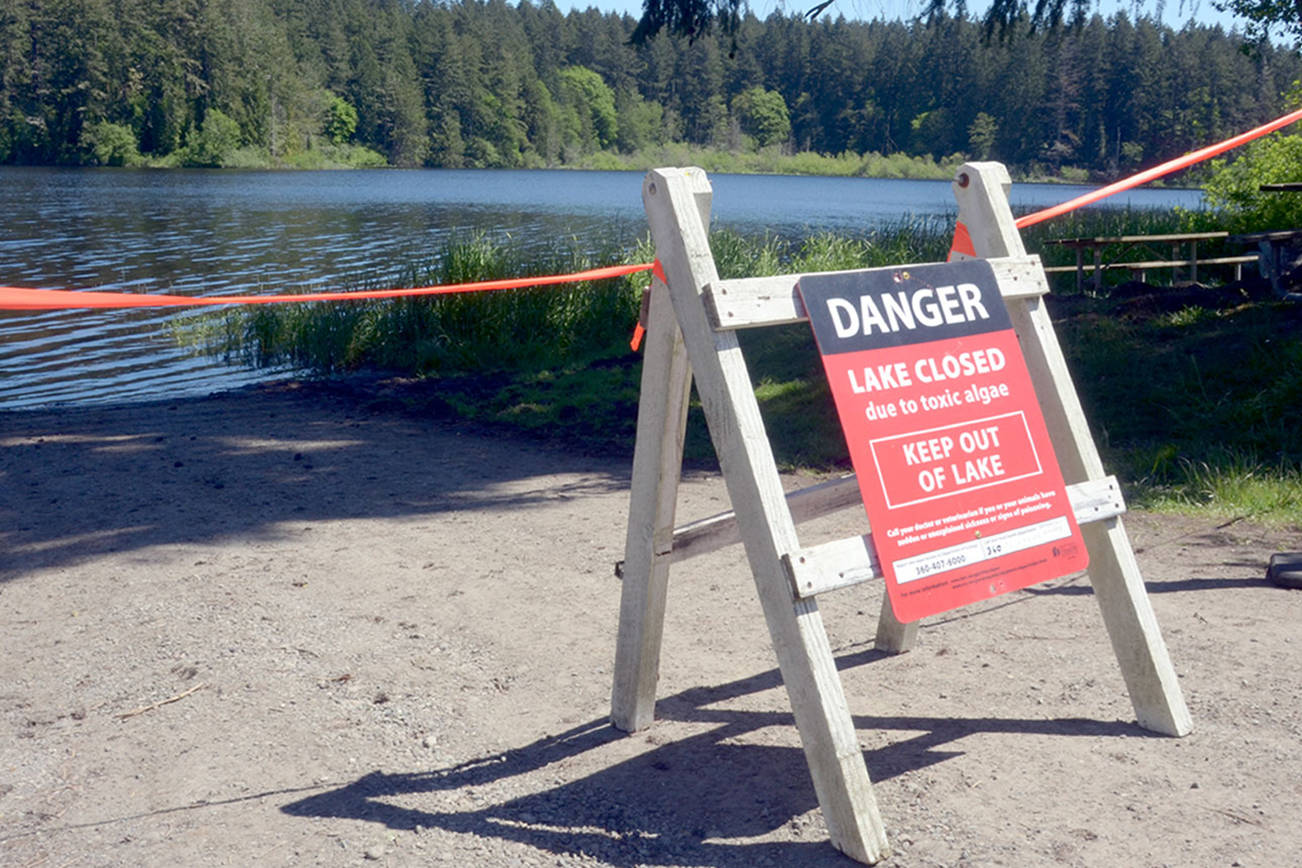 Caption: Anderson Lake in Chimacum is closed again due to toxic algae blooms. The lake will be closed to swimming, fishing and boating, however the state park will still be open to hikers. (Cydney McFarland/Peninsula Daily News)
